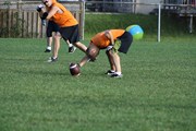OTFL Gallery Image